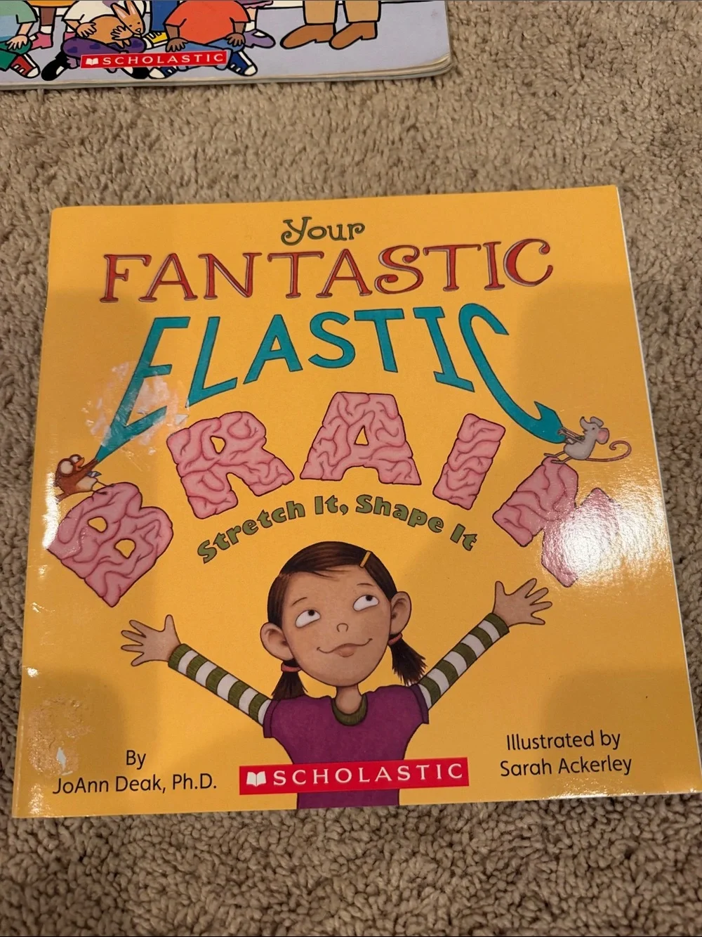 Book Bundle for Elementary Classroom